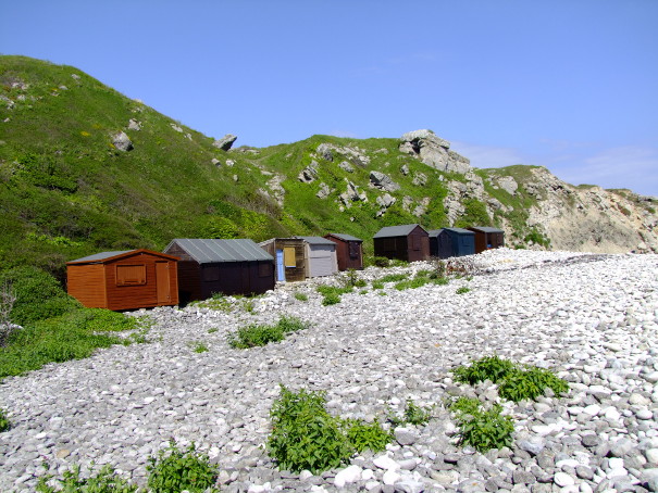 A picture of Church Ope Cove Beach huts