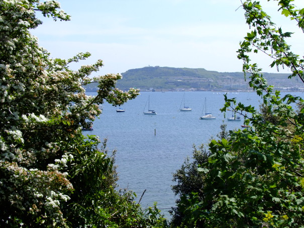 A picture of Portland Harbour sailing moorings