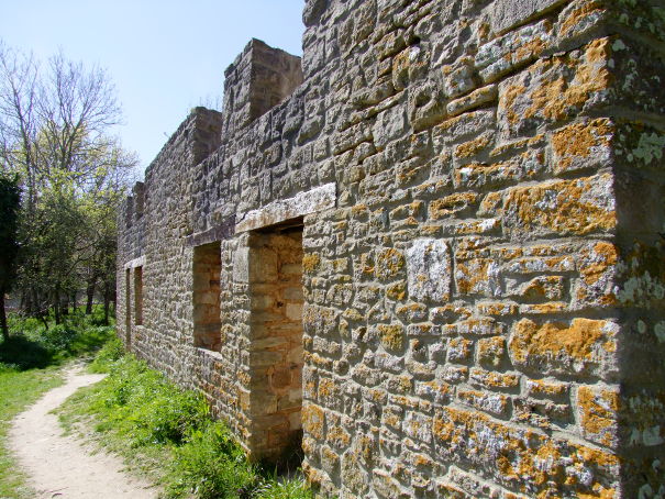 A picture of Tyneham Village Photo cottages